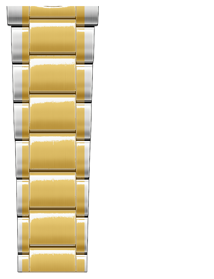 Gold / Silver Bracelet tail side