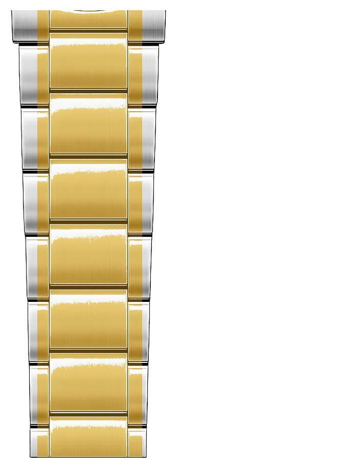 Gold / Silver Bracelet tail side